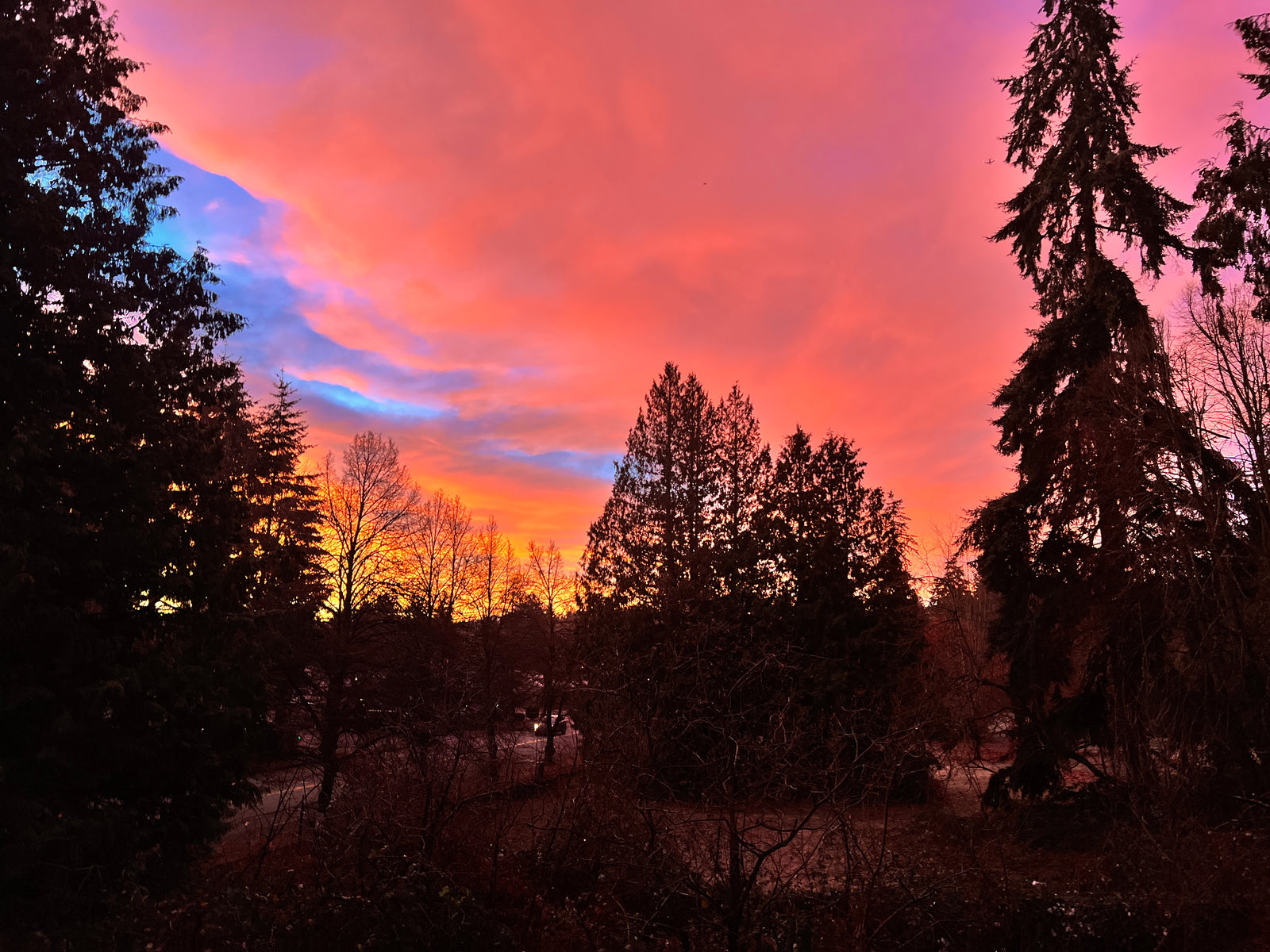 Happy 2023! Wit and Wisdom from Deni Luna on this Special Time of Year