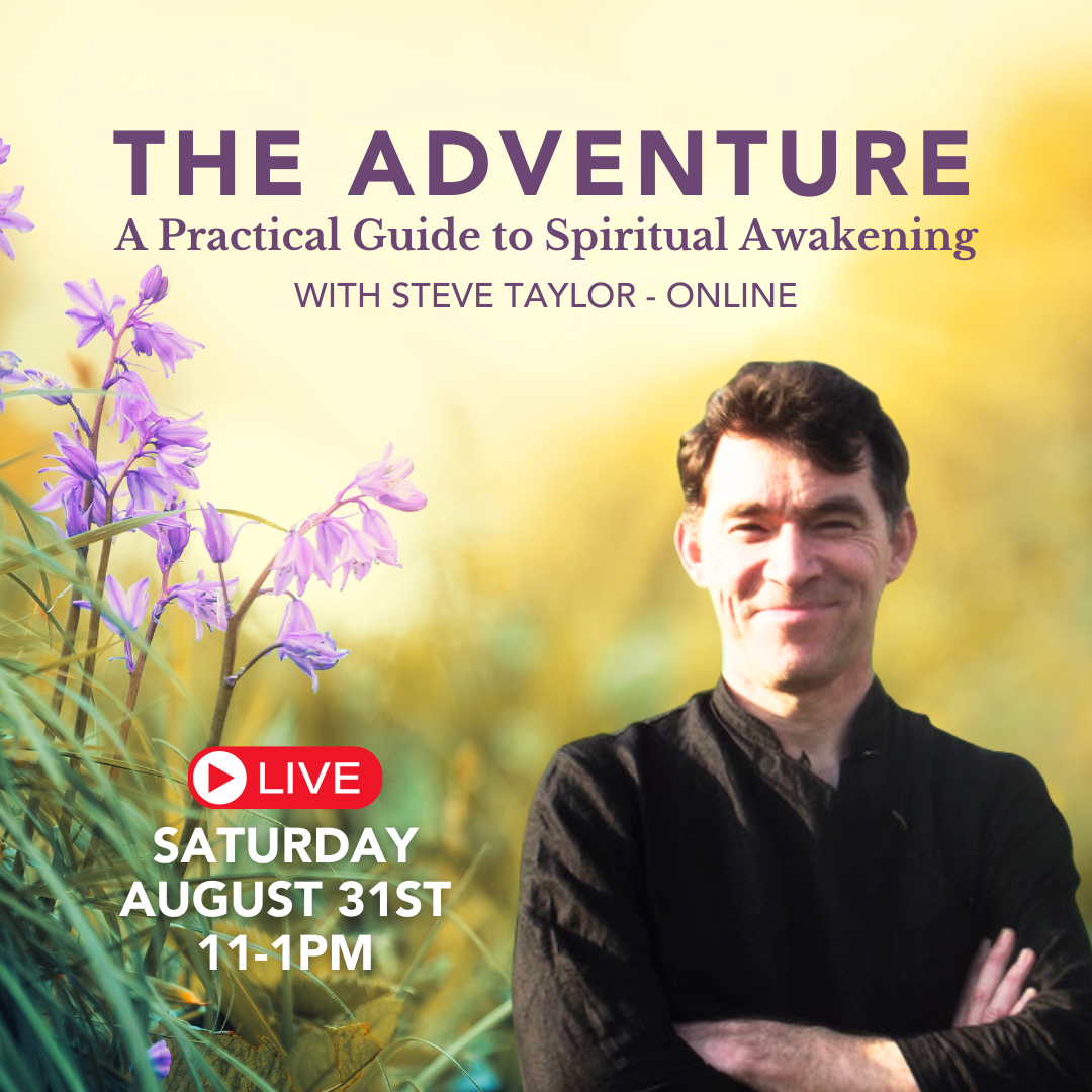 August 31st, 2024 - Saturday 11-1pm PT - The Adventure - A Practical Guide to Spiritual Awakening - with Steve Taylor - Online